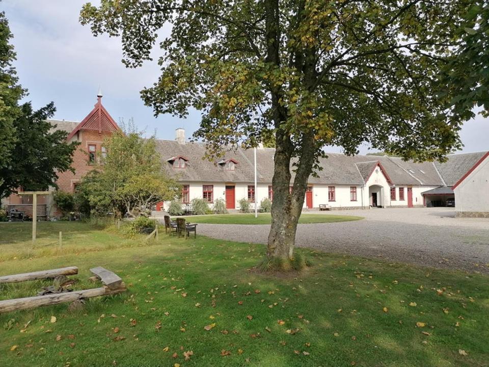 Edelsminde Bed & Breakfast Haslev 外观 照片