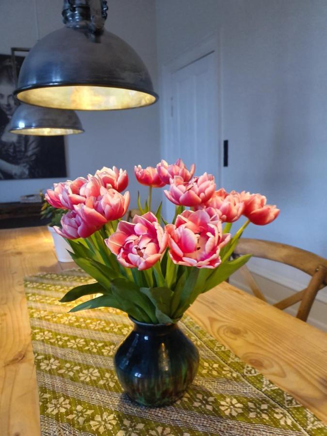 Edelsminde Bed & Breakfast Haslev 外观 照片