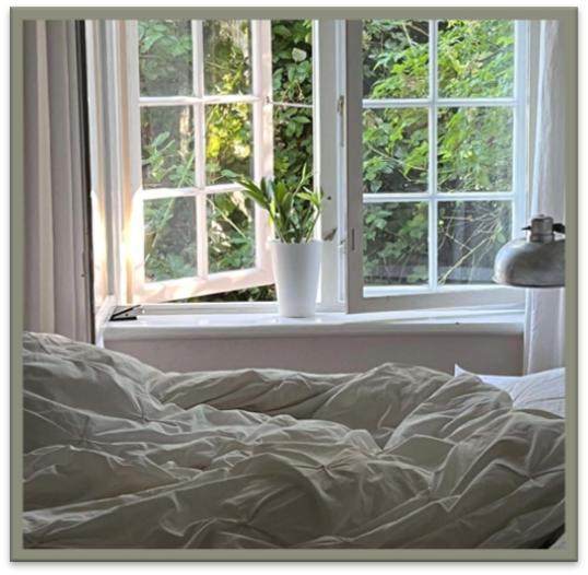 Edelsminde Bed & Breakfast Haslev 外观 照片